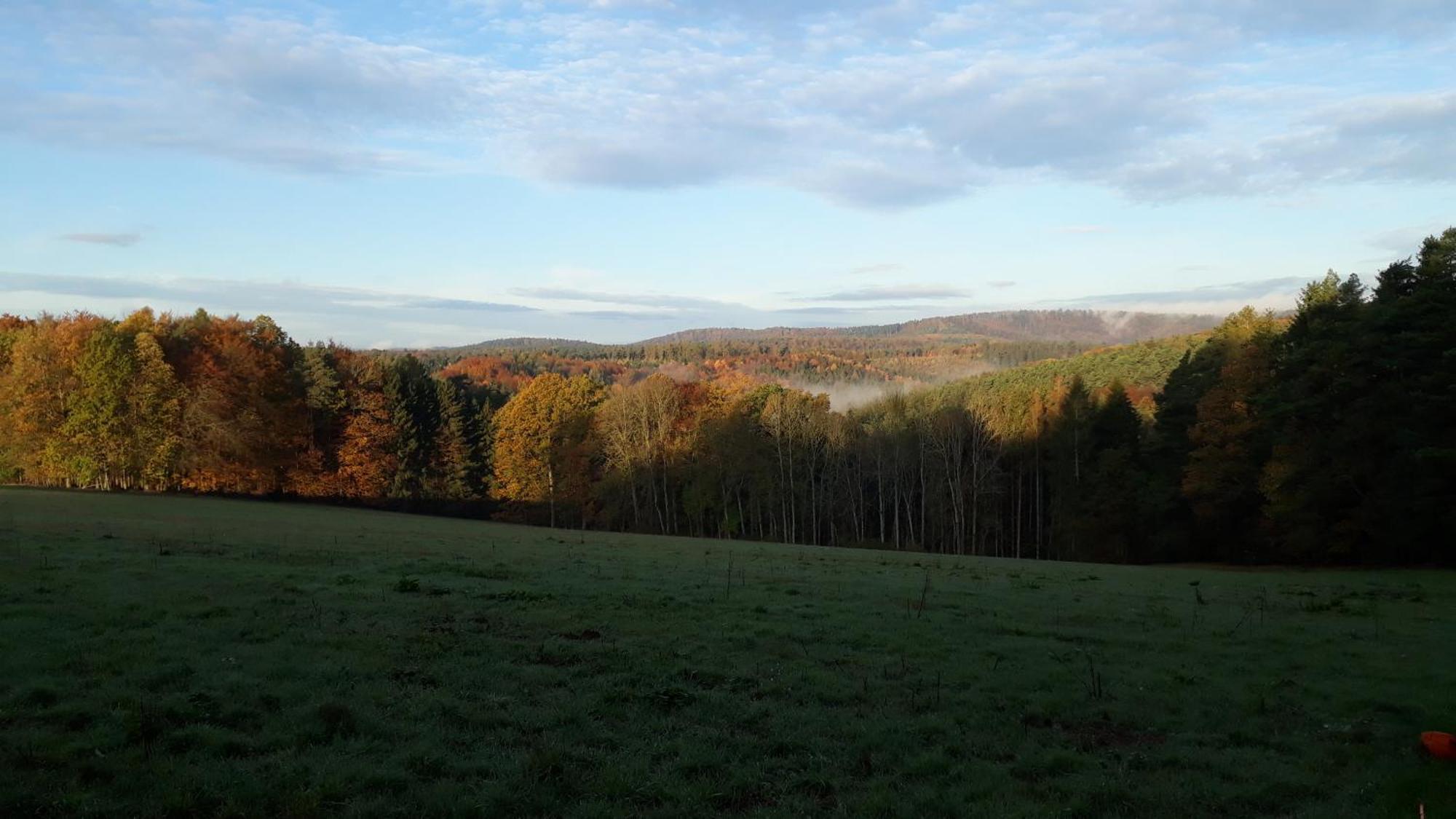 Вилла Ellernhof Im Spessart Stadtprozelten Экстерьер фото