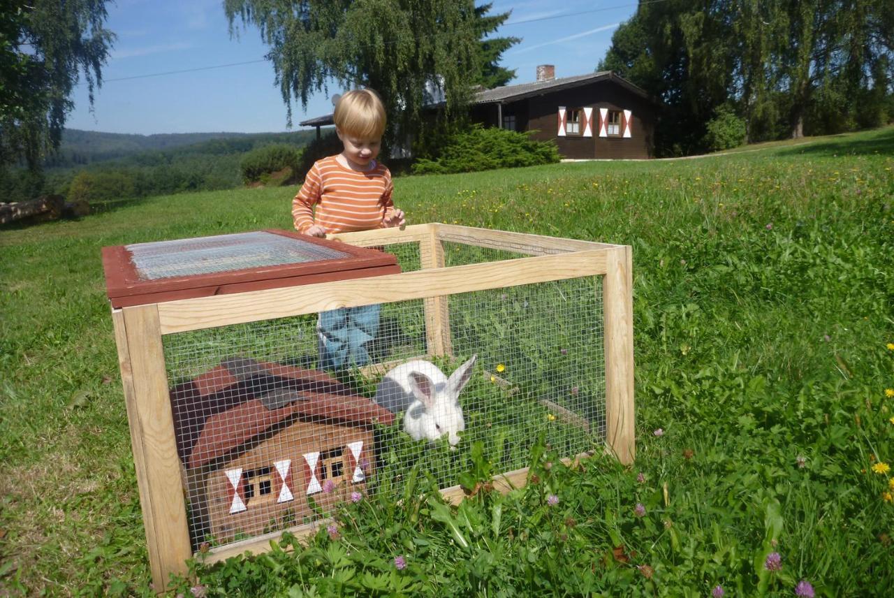 Вилла Ellernhof Im Spessart Stadtprozelten Номер фото